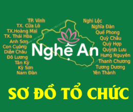 SƠ ĐỒ TỔ CHỨC