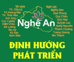 ĐỊNH HƯỚNG PHÁT TRIỂN 