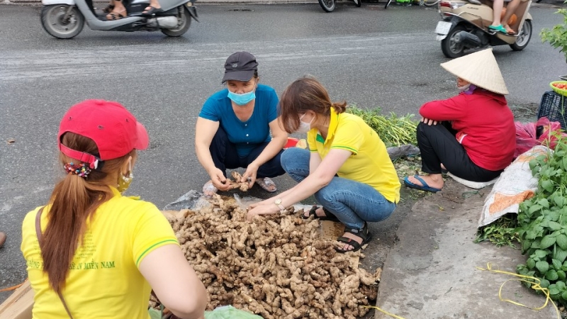 Hội Đồng Hương Nghệ An Miền Nam hỗ trợ giải cứu 2 tấn gừng cho bà con huyện Kỳ Sơn